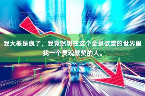 我大概是疯了，我竟然想在这个全是欲望的世界里找一个灵魂默契的人。