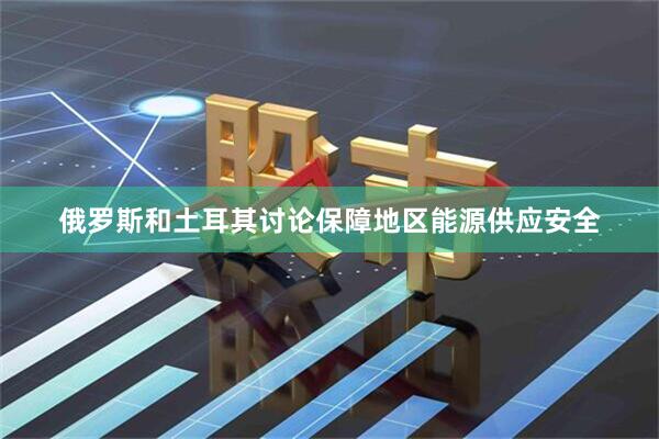 俄罗斯和土耳其讨论保障地区能源供应安全
