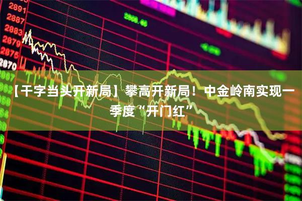 【干字当头开新局】攀高开新局!中金岭南实现一季度“开门红”