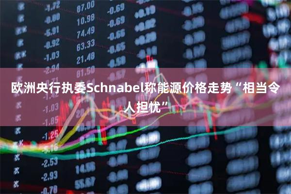 欧洲央行执委Schnabel称能源价格走势“相当令人担忧”